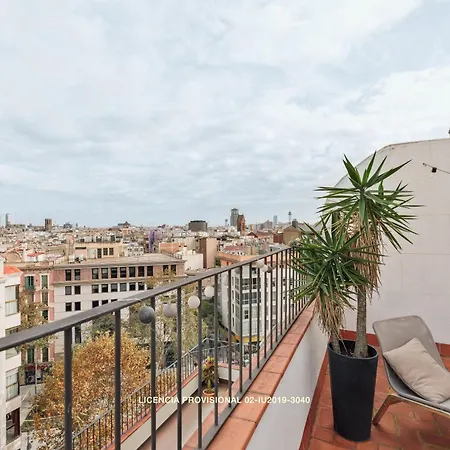 Ola Living Sant Antoni Market Barcelona